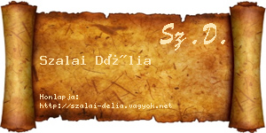 Szalai Délia névjegykártya